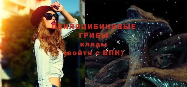 2c-b Абдулино
