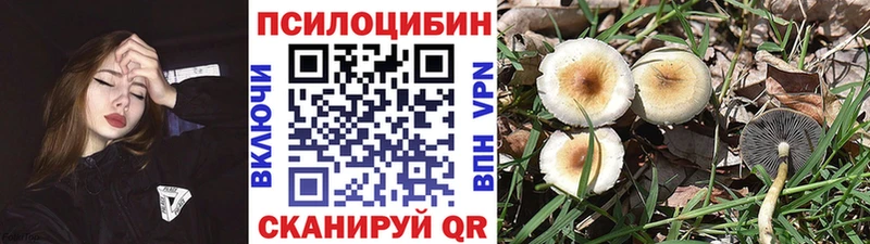 купить  сайты  Костерёво  MEGA ONION  Псилоцибиновые грибы Psilocybine cubensis 